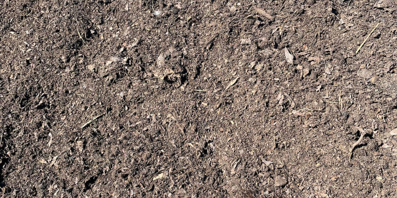 Dirt Delivery in Belton, South Carolina