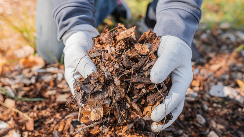 Why You Should Choose Mulch Delivery