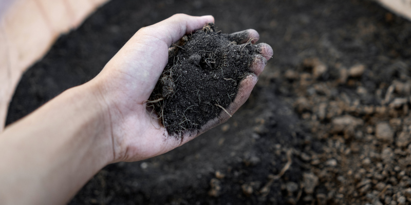 Boost Productivity With Topsoil Delivery